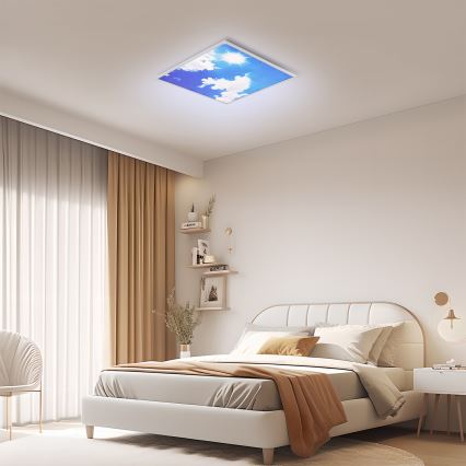 Brilagi - LED stropna svetilka SLIMFRAME SKY LED/58W/230V 60x60 cm srebrna/modra