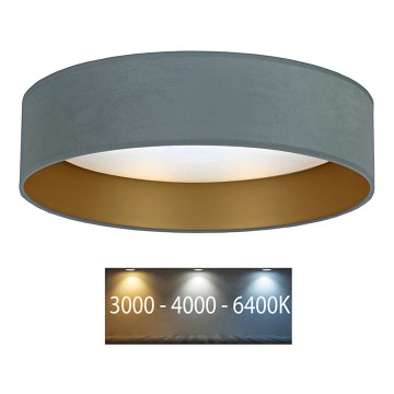 Brilagi - LED Stropna svetilka VELVET LED/12W/230V pr. 30 cm 3000K/4000K/6400K mint/zlata