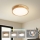 Brilagi - LED stropna svetilka WOODLINE LED/24W/230V 3000/4000/6000K hrast premer 30 cm