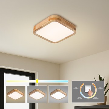 Brilagi - LED stropna svetilka WOODLINE SQUARE LED/32W/230V 3000/4000/6000K hrast 30x30 cm