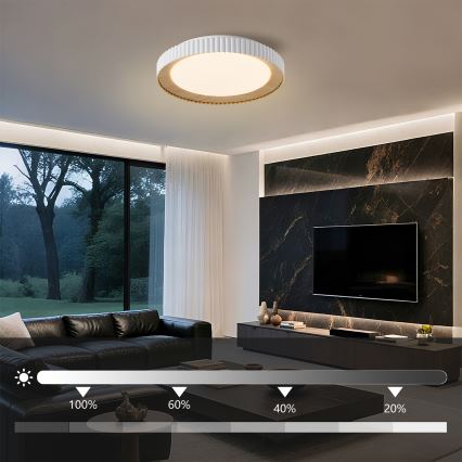 Brilagi - zatemnljivo stropno LED svetilo NEXO LED/48W/230V 3000-6000K, belo, premer 43 cm + daljinski upravljalnik