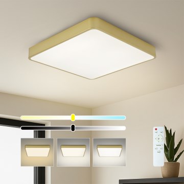 Brilagi - LED stropna svetilka z zatemnitvijo POOL SQUARE LED/48W/230V 3000-6000K 50x50 cm zlata + z daljinskim upravljalnikom