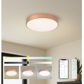 Brilagi - LED stropna svetilka z zatemnjevanjem POOL SMART LED/48W/230V 3000–6000K premer 40 cm Wi-Fi Tuya bronasta + daljinski upravljalnik