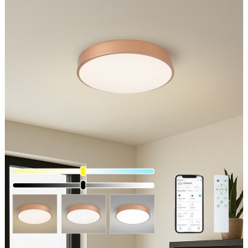 Brilagi - LED stropna svetilka z zatemnjevanjem POOL SMART LED/48W/230V 3000–6000K premer 40 cm Wi-Fi Tuya bronasta + daljinski upravljalnik