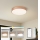 Brilagi - LED stropna svetilka z zatemnjevanjem POOL SMART LED/48W/230V 3000–6000K premer 40 cm Wi-Fi Tuya bronasta + daljinski upravljalnik