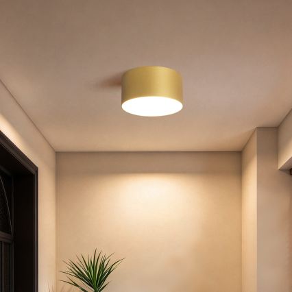 BRILAGI - LED kopalniško stropno svetilo FORIS LED/14W/230V Ø 12 cm zlato IP44