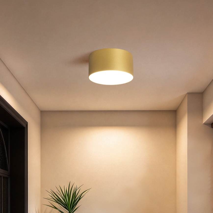 BRILAGI - LED kopalniško stropno svetilo FORIS LED/14W/230V Ø 12 cm zlato IP44