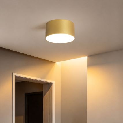 BRILAGI - LED kopalniško stropno svetilo FORIS LED/14W/230V Ø 12 cm zlato IP44