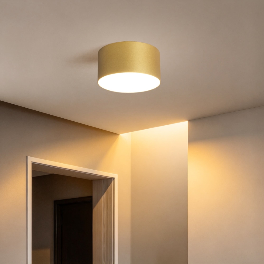 BRILAGI - LED kopalniško stropno svetilo FORIS LED/14W/230V Ø 12 cm zlato IP44
