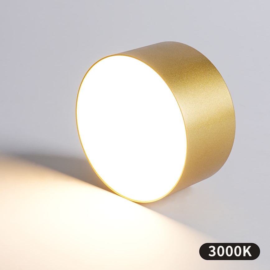 BRILAGI - LED kopalniško stropno svetilo FORIS LED/14W/230V Ø 12 cm zlato IP44