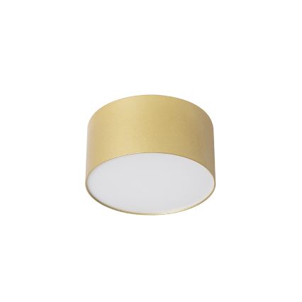 BRILAGI - LED kopalniško stropno svetilo FORIS LED/14W/230V Ø 12 cm zlato IP44