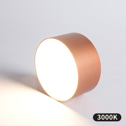 BRILAGI - LED stropna svetilka za kopalnico FORIS LED/14W/230V, premer 12 cm, bronasta, IP44