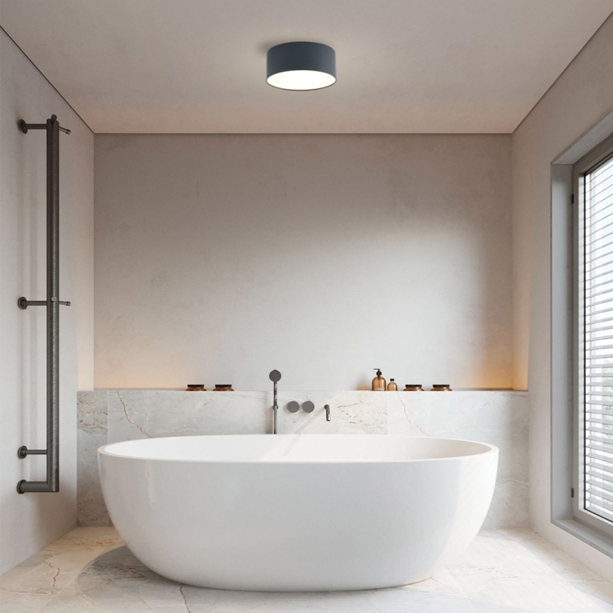 Brilagi - LED stropna svetilka za kopalnico FORIS LED/20W/230V Ø 15 cm antracit IP44