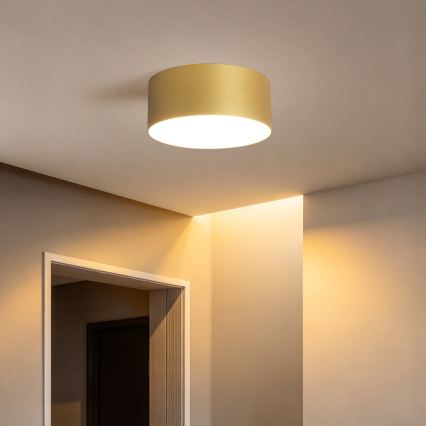 BRILAGI - LED Kopalniška stropna svetilka FORIS LED/20W/230V Ø 15 cm zlata IP44