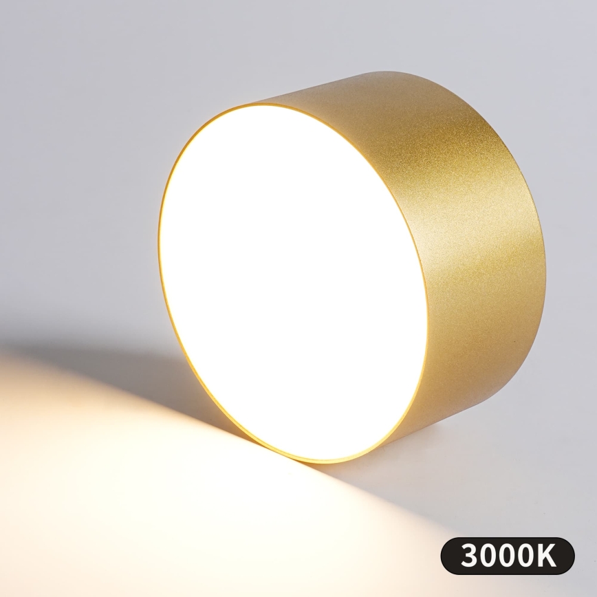 BRILAGI - LED Kopalniška stropna svetilka FORIS LED/20W/230V Ø 15 cm zlata IP44