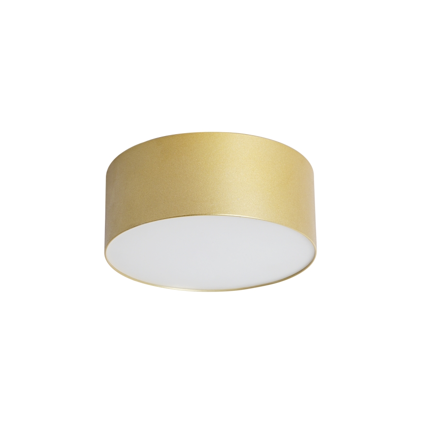 BRILAGI - LED Kopalniška stropna svetilka FORIS LED/20W/230V Ø 15 cm zlata IP44