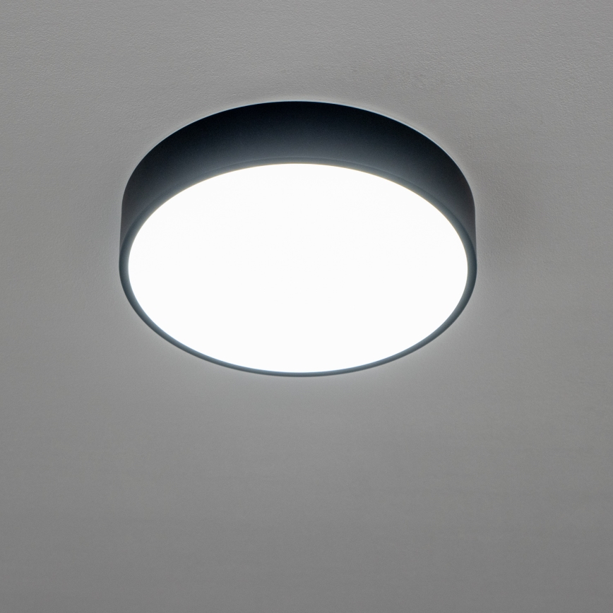 Brilagi - LED stropno kopalniško svetilo POOL LED/24W/230V 3000/4000/5500K premer 30 cm IP54 črna