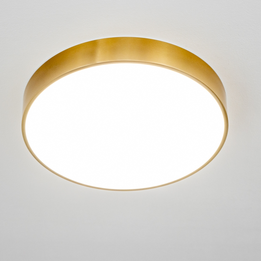 BRILAGI - LED kopalniško stropno svetilo POOL LED/36W/230V 3000/4000/5500K premer 40 cm IP54 zlato