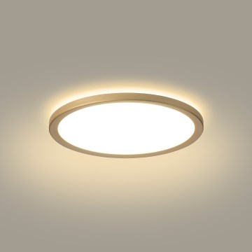 Brilagi - LED stropna svetilka za kopalnico ULTRA SLIM LED/12W/230V, premer 22,5 cm, zlata, IP54