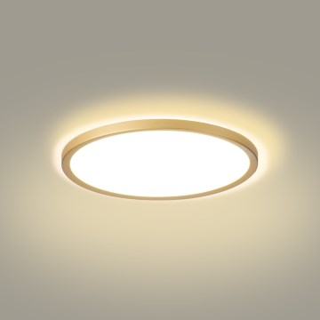 Brilagi - LED stropna svetilka za kopalnico ULTRA SLIM LED/18W/230V, premer 30 cm, zlata, IP54