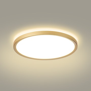 Brilagi - LED stropna svetilka za kopalnico ULTRA SLIM LED/24W/230V Ø 42 cm zlata IP54