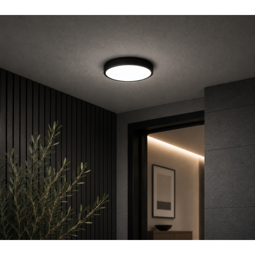 BRILAGI - LED stropna svetilka za kopalnico ZENNA LED/12W/230V Ø 25 cm IP44 črna