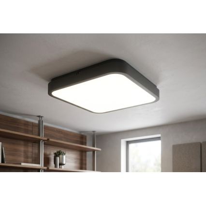 BRILAGI - LED kopalniško stropno svetilo ZENNA LED/36W/230V 41x41 cm IP44 črna