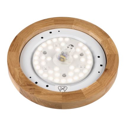 Brilagi - LED stropno svetilo BELLADONNA LED/20W/230V Ø 30 cm bela/hrast