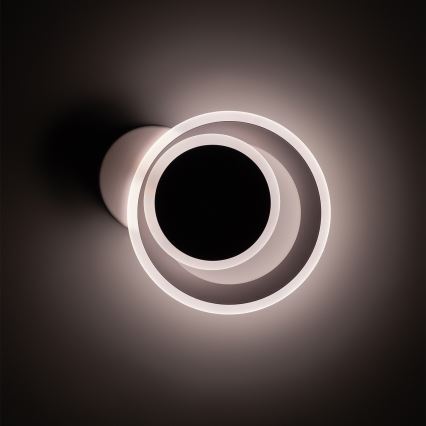 Brilagi - LED stropno svetilo MODERN MINI LED/22W/230V 3000/4000/6000K