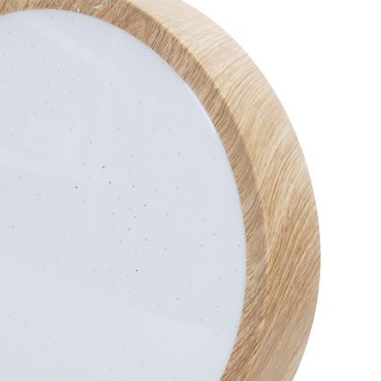 Brilagi - LED stropno svetilo NATURA LED/12W/230V 3000K premer 26,3 cm