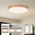 Brilagi - LED stropno svetilo POOL SMART, z zatemnitvijo, 100W/230V, 3000-6000K, premer 80 cm, Wi-Fi Tuya, bronasto + daljinski upravljalnik