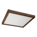 Brilagi - LED Stropno svetilo WOODY FRAME LED/40W/230V 60x60 cm IP44 oreh