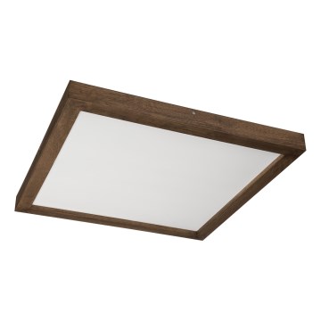 Brilagi - LED Stropno svetilo WOODY FRAME LED/40W/230V 60x60 cm IP44 oreh