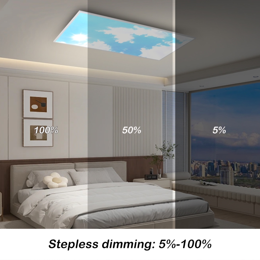 Brilagi - LED zatemnljivo stropno svetilo SLIMFRAME SKY LED/80W/230V 120x60 cm 3000-6000K srebrno/modro + daljinski upravljalnik