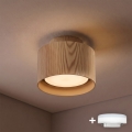BRILAGI - LED točkovna svetilka BACKLIT 1xGX53/15W/230V + LED/3W premer 10 cm dekor hrasta