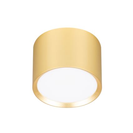 BRILAGI - LED Točkovna svetilka SMOOTH 1xGX53/15W/230V 60x82 mm zlata