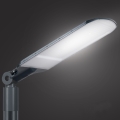 Brilagi - LED ulična svetilka URBANLIGHT LED/250W/230V antracit IP65