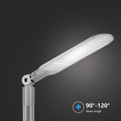 Brilagi - LED ulična svetilka URBANLIGHT LED/250W/230V siva IP65