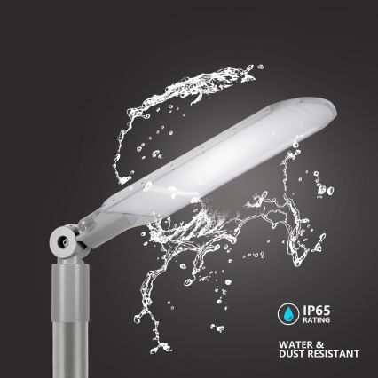 Brilagi - LED ulična svetilka URBANLIGHT LED/250W/230V siva IP65