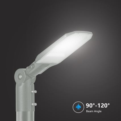 Brilagi - LED ulična svetilka URBANLIGHT LED/50W/230V siva IP65