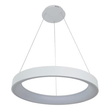 Brilagi - LED viseči lestenec FALCON II z možnostjo zatemnitve, na jekleni vrvici LED/99W/230V 3000-6500K Ø 60 cm bela + daljinski upravljalnik