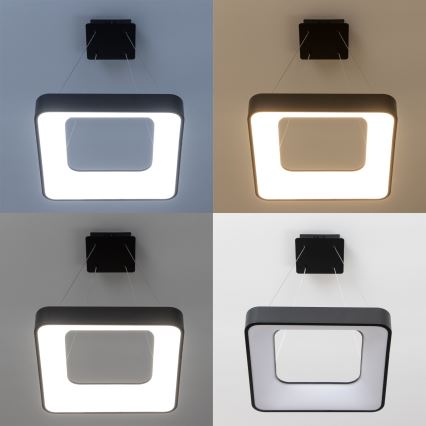 Brilagi - LED zatemljiv lestenec na kablu FALCON II LED/80W/230V 3000-6500K 40x40 cm črna + daljinski upravljalnik