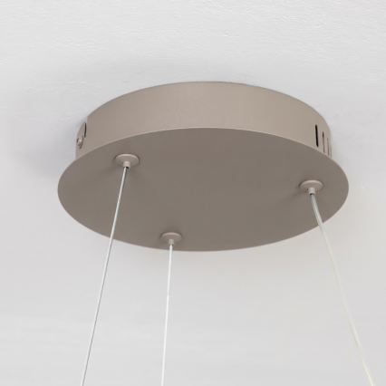 BRILAGI - LED zatemljiv lestenec na kablu FALCON II LED/67W/230V 3000-6500K premer 40 cm bež + daljinsko upravljanje