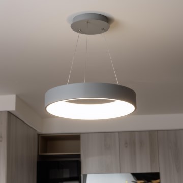 Brilagi - LED zatemljiv lestenec na jekleni vrvici FALCON LED/80W/230V 3000-6500K premer 60 cm, v sivi barvi + daljinski upravljalnik