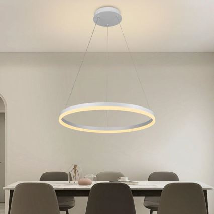 Brilagi - Zatemnjiva LED viseča svetilka na kablu CIRCLE LED/42W/230V 3000-6500K premer 60 cm + daljinski upravljalnik