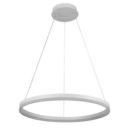 Brilagi - Zatemnjiva LED viseča svetilka na kablu CIRCLE LED/42W/230V 3000-6500K premer 60 cm + daljinski upravljalnik