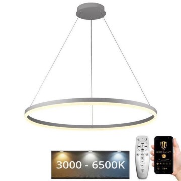 Brilagi - LED zatemljiv lestenec na kablu CIRCLE LED/55W/230V 3000-6500K premer 80 cm bela + daljinski upravljalnik