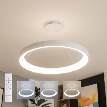 Brilagi - LED zatemljiv lestenec na kablu FALCON II LED/108W/230V 3000-6500K premer 80 cm bela + daljinski upravljalnik