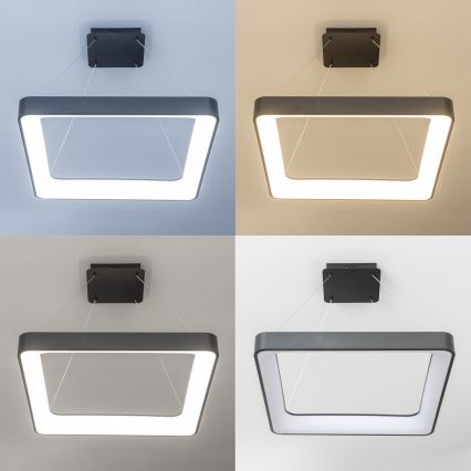 Brilagi - LED zatemljiv lestenec na kablu FALCON II LED/125W/230V 3000-6500K 60x60 cm črna + daljinski upravljalnik