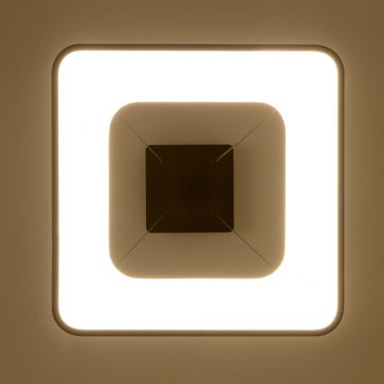 Brilagi - LED zatemnljiv lestenec na kablu FALCON II LED/80W/230V 3000-6500K 40x40 cm črna + daljinski upravljalnik